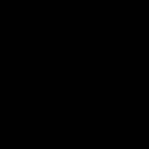 Meet your Posher, Preet